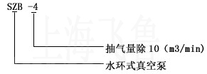 SZB型水環式真空泵型號說明